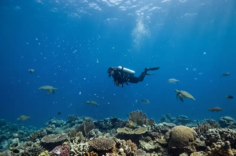 Scuba diving excursion at the famous Sipadan Island Adil Waterhouse Resort